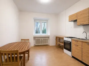 Pronájem bytu 1+1, Brno, Mezírka, 43 m2