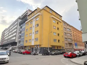 Pronájem bytu 1+1, Brno, Mezírka, 43 m2