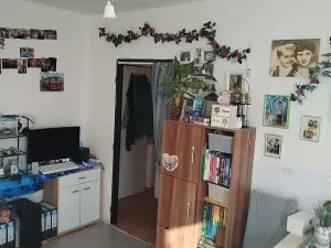 Pronájem bytu 1+kk, Pardubice, Valčíkova, 30 m2