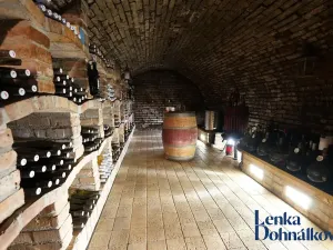 Prodej vinného sklepa, Mutěnice, 210 m2