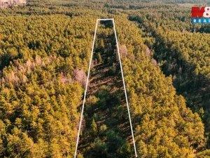 Prodej lesa, Olešnice, 18382 m2