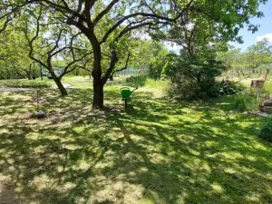 Prodej zahrady, Nový Šaldorf-Sedlešovice - Nový Šaldorf, 898 m2