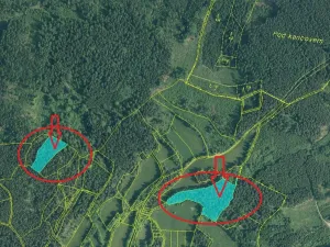 Prodej podílu lesa, Vlachovo Březí, 2714 m2