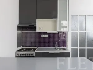 Prodej bytu 1+kk, Praha - Žižkov, Biskupcova, 28 m2