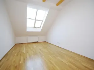 Pronájem bytu 3+1, Praha - Vinohrady, Mánesova, 120 m2