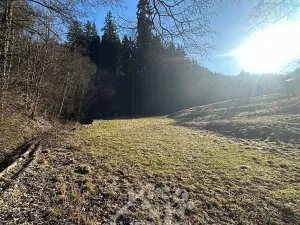 Prodej louky, Bozkov, 5815 m2