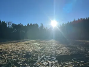 Prodej louky, Bozkov, 15029 m2