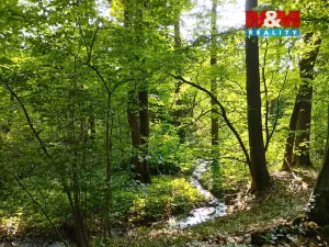 Pronájem chaty, Heřmanův Městec, Na Ježkovce, 387 m2