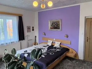 Prodej vícegeneračního domu, Aš, Květnová, 330 m2