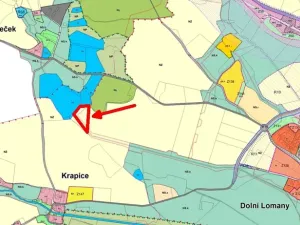 Prodej pole, Františkovy Lázně, 7083 m2