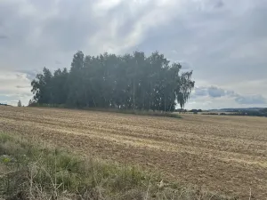 Prodej podílu pozemku, Krásněves, 12458 m2