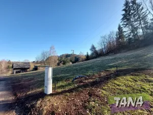 Prodej pozemku pro bydlení, Koberovy, 2744 m2