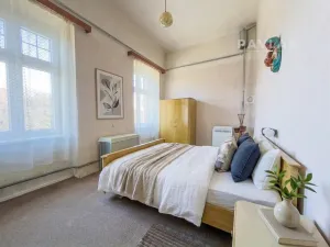 Prodej vícegeneračního domu, Veselí nad Lužnicí, náměstí T. G. Masaryka, 570 m2