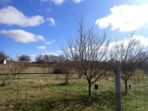 Pronájem komerčního pozemku, Velká Chmelištná, 10000 m2