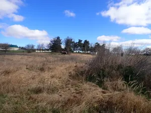 Pronájem komerčního pozemku, Velká Chmelištná, 10000 m2