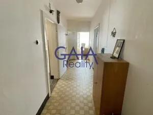 Prodej rodinného domu, Hýsly, 300 m2