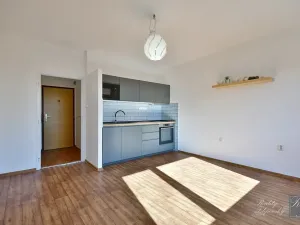 Pronájem bytu 2+kk, Ústí nad Labem, Brandtova, 43 m2