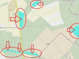 Prodej podílu lesa, Černěves, 9239 m2