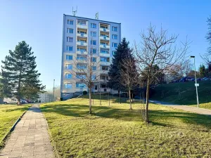 Pronájem bytu 2+1, Děčín, Severní, 50 m2