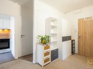 Prodej bytu 3+1, Brno, Štefáčkova, 68 m2