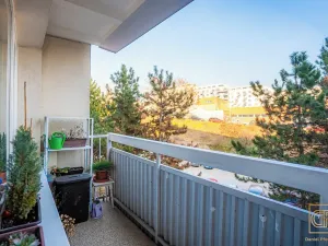 Prodej bytu 3+1, Brno, Štefáčkova, 68 m2