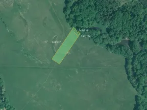 Prodej louky, Majdalena, 10797 m2