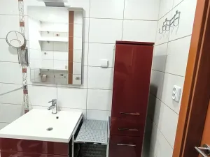 Pronájem bytu 3+1, Ústí nad Labem, V Podhájí, 65 m2