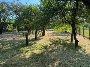 Pronájem zahrady, Olomouc, 1051 m2