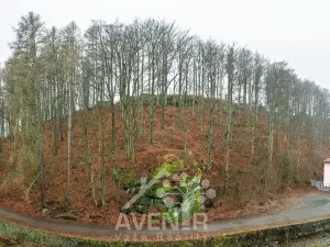 Prodej bytu 1+1, Desná, Krátká, 32 m2