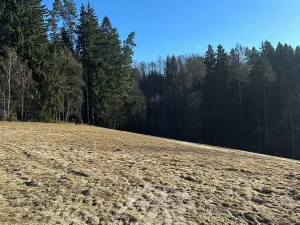 Prodej louky, Bozkov, 14441 m2