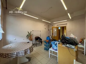 Prodej rodinného domu, Teplice, Thámova, 215 m2