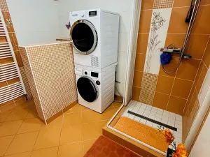 Prodej rodinného domu, Prackovice nad Labem, 190 m2