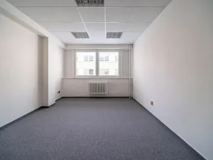 Pronájem kanceláře, Hradec Králové, Sušilova, 250 m2