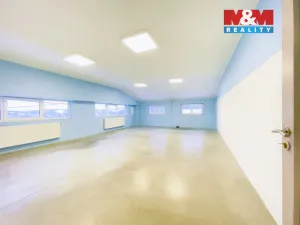 Pronájem výrobních prostor, Vizovice, Říčanská, 1070 m2