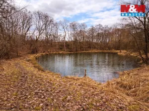 Prodej pozemku pro bydlení, Křečovice - Vlkonice, 68525 m2