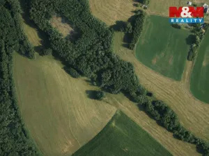 Prodej rybníku, Nový Bor - Pihel, 753 m2