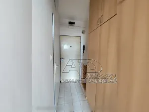 Pronájem bytu 1+kk, České Budějovice, Fr. Ondříčka, 23 m2