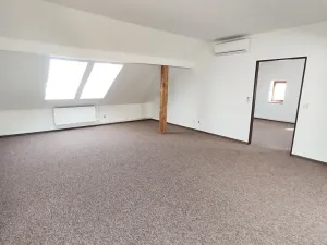 Pronájem bytu 3+1, Ostrava, Daliborova, 160 m2