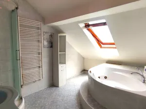 Pronájem bytu 3+1, Ostrava, Daliborova, 160 m2