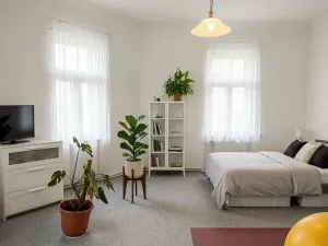 Pronájem bytu 2+1, Brno, Smetanova, 101 m2