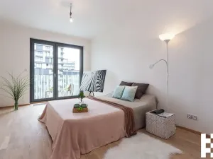 Pronájem bytu 4+kk, Praha - Žižkov, Olšanská, 107 m2