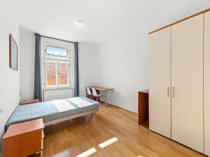 Prodej bytu 2+1, Praha - Žižkov, Bořivojova, 77 m2