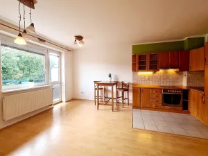Pronájem bytu 1+kk, Brno, Živného, 34 m2