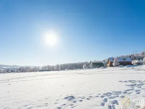 Prodej komerčního pozemku, Červená Voda, 1410 m2
