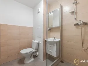 Pronájem bytu 1+1, Brno, Vavřinecká, 35 m2