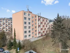 Pronájem bytu 1+1, Brno, Vavřinecká, 35 m2