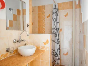 Prodej bytu 1+1, Plzeň - Jižní Předměstí, Čermákova, 39 m2