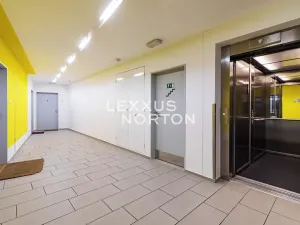 Pronájem bytu 2+kk, Praha - Žižkov, Jeseniova, 62 m2