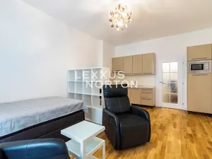 Pronájem bytu 1+kk, Praha - Žižkov, Ondříčkova, 31 m2