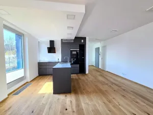 Pronájem bytu 3+kk, Praha - Smíchov, U Dívčích hradů, 123 m2